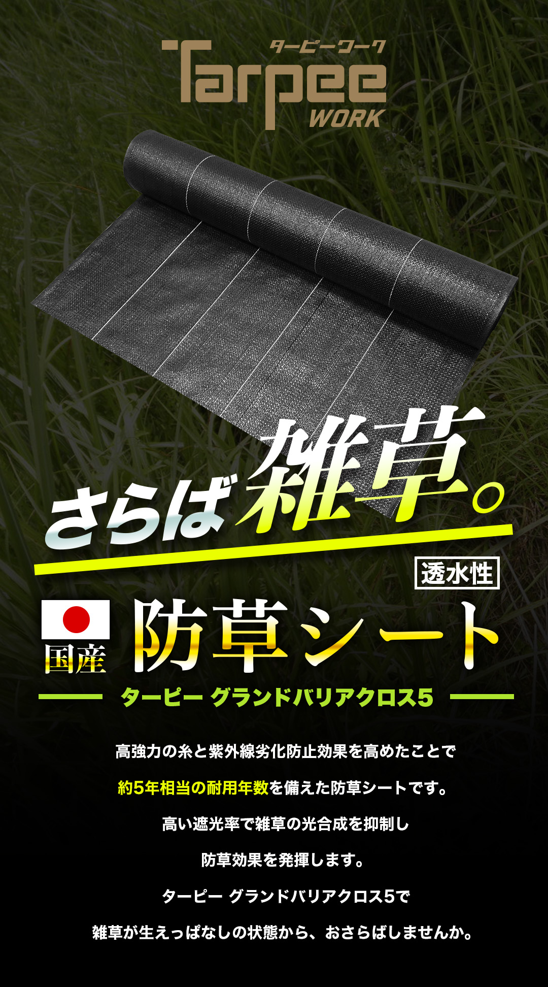 GBC5ファーストビュー