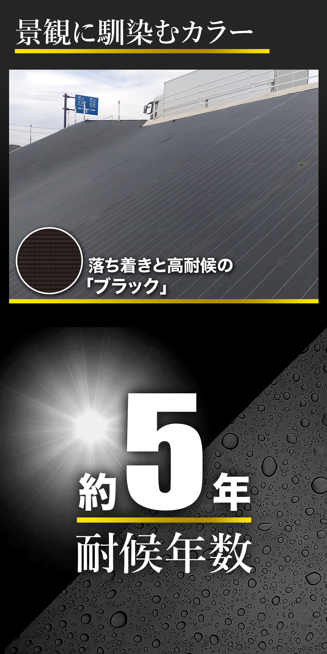 CBC5カラー画像